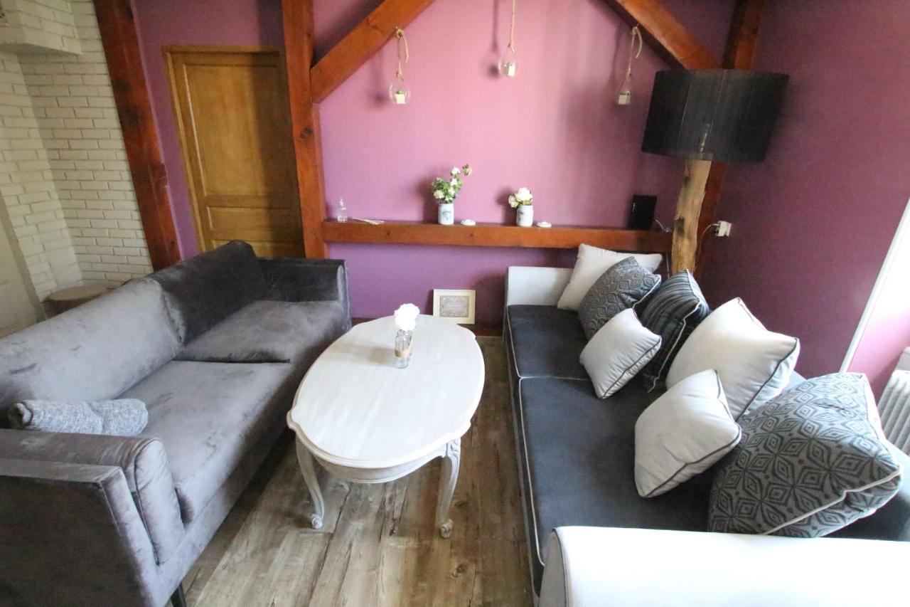 Colmar City Center - Apartment Duplex Marigny - Bookingalsace Zewnętrze zdjęcie